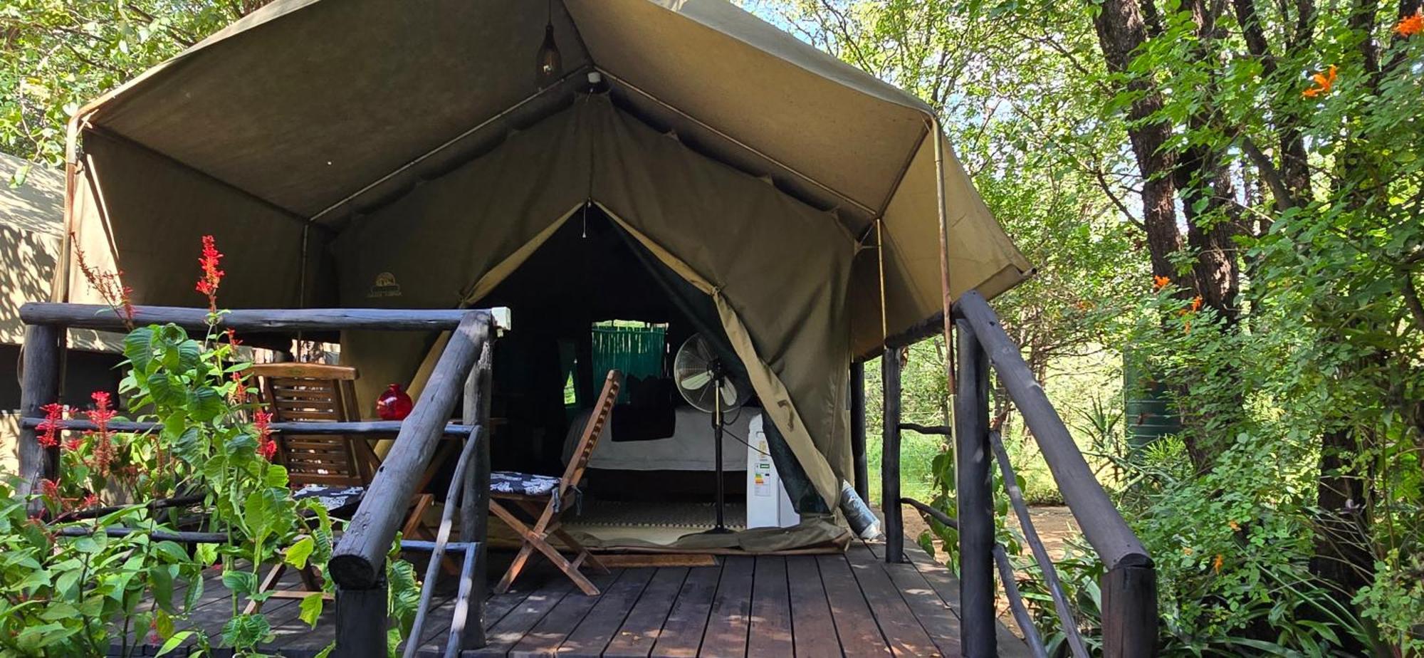 Luxury tent Tot Hier Toe *