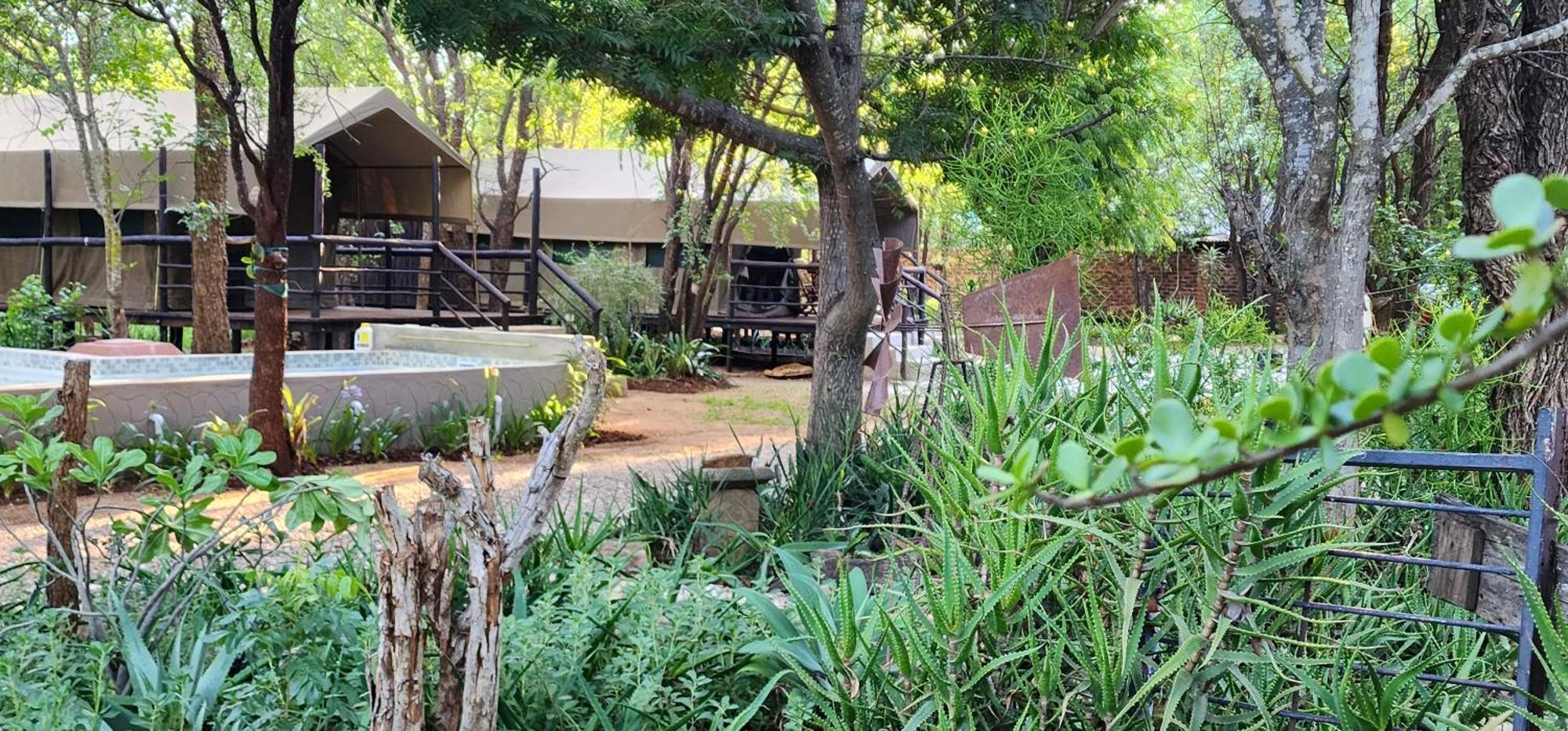 Luxury tent Tot Hier Toe Phalaborwa