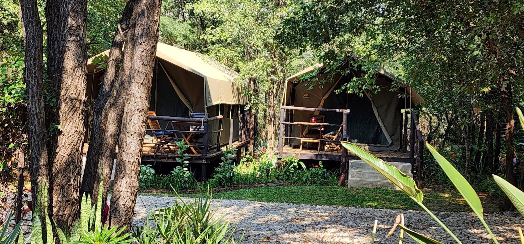 Luxury tent Tot Hier Toe