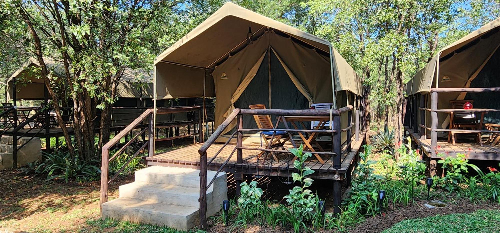 Luxury tent Tot Hier Toe *